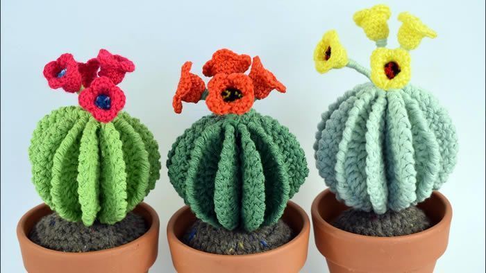 Cactus redondos con flores amigurumi